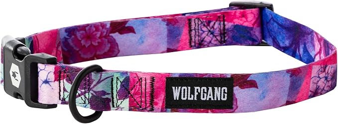 Wolfgang Heavy Duty, Adjustable Dog Collar with Quick Release Nylon Buckle for Walking & Training, Daydream Print, Small