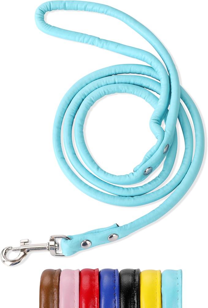 Light Blue Soft Leather Dog Leash for Small,Medium Dog Walking, Comfortable Leather Handle, 4 ft Light Blue