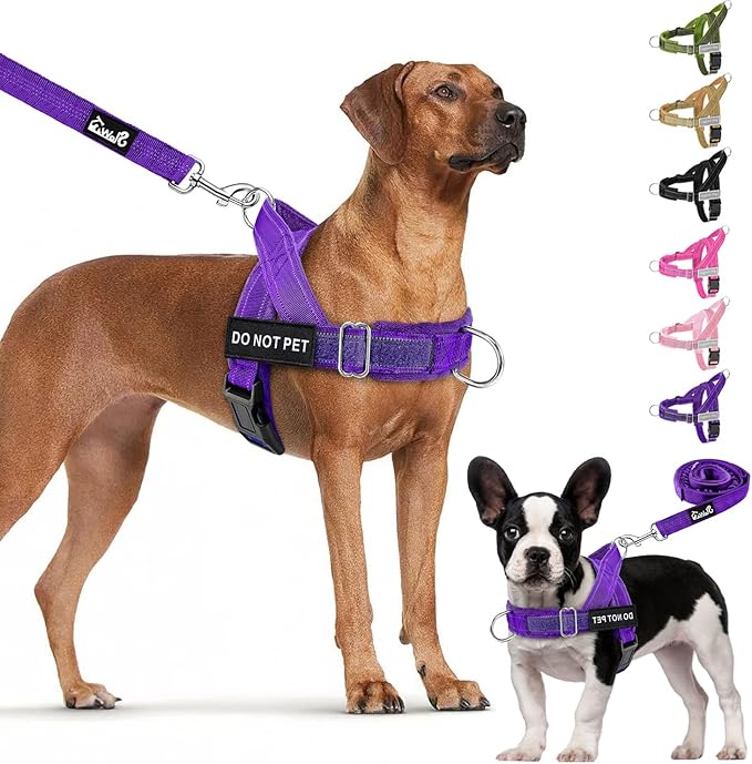 Lukovee No Pull Dog Harness and Leash Set - Adjustable Soft Padded Vest with Front Clip for Easy Control, Reflective Durable Harness for Safe Daily Training Walking for Medium Large Dogs (M, PU)