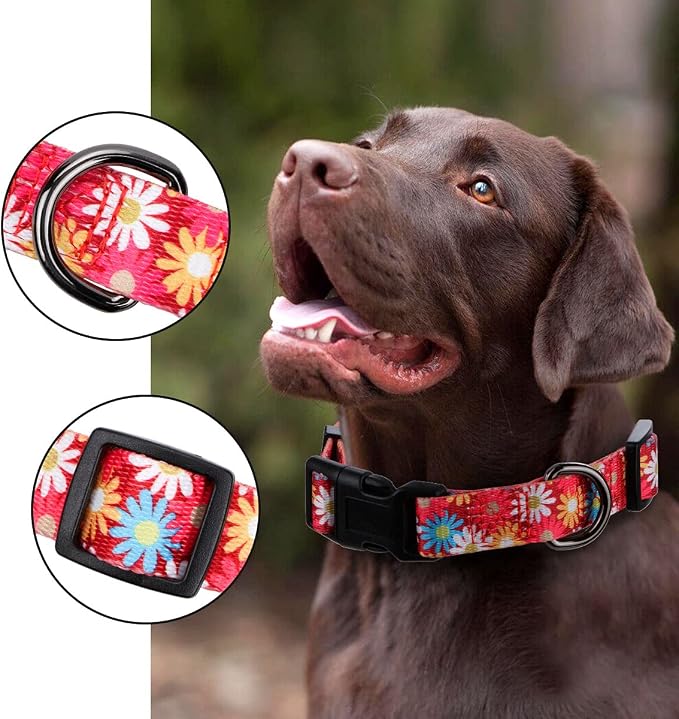 Girl Dog Collars Cute Pink Daisy Collar, Spring and Summer Flower for Large Dogs