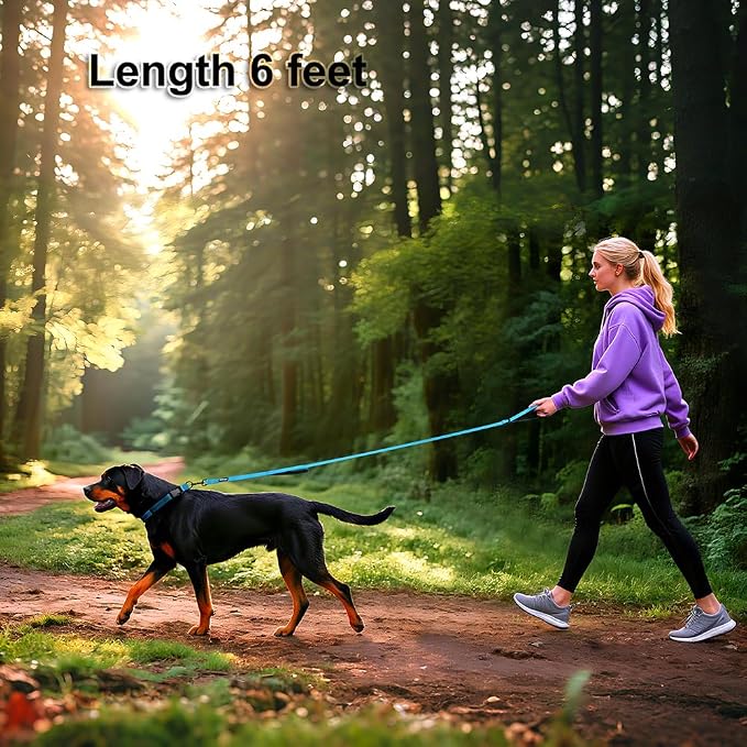 Heavy Duty Double Handle Dog Leash 6 ft Long for Total Control, Padded 2 Handle, Reflective Training Lead for Medium Large Dogs (Sky Blue, 6 FT)