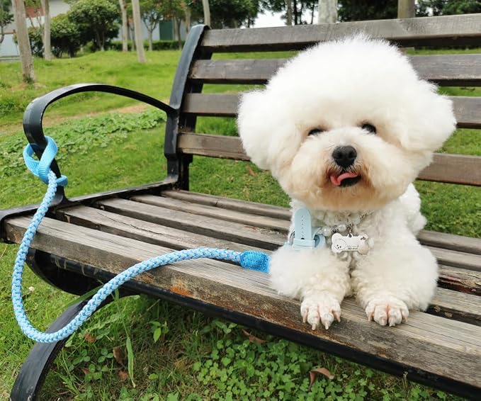 2/3/4/6/10 ft Reflective Dog Leash Strong Nylon Rope Braided Heavy Duty for Large and Medium Small Dogs Walking Training Leads (Sky Blue, 6ft * 1/2")