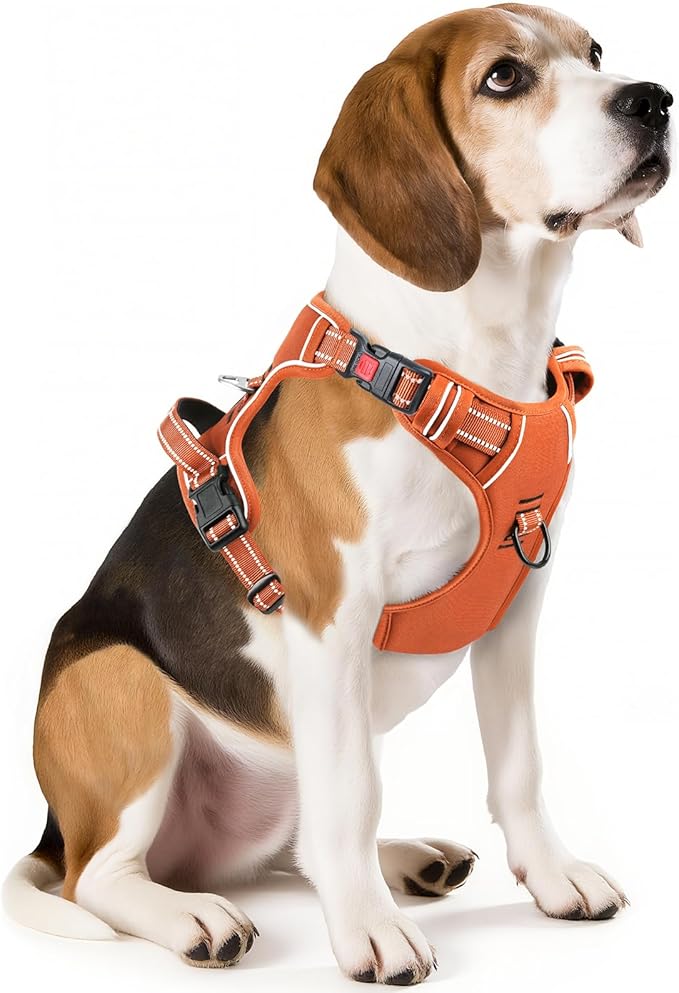 Timos Dog Harness Medium Sized, No Pull Pet Harness with Neck Lockable Snap, No Choke Front Clip Reflective Vest, Adjustable Metal Rings 3 Buckles, Easy Control Handle for Medium Dogs Pumpkin Orange M