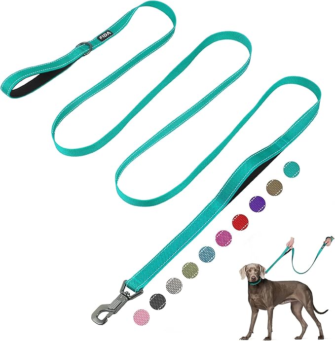 Fida 10ft Heavy Duty Dog Leash with 2 Comfortable Padded Handles, Traffic Handle & Advanced Easy Snap Hook, Reflective Walking Lead for Large, Medium & Small Breed Dogs, Teal