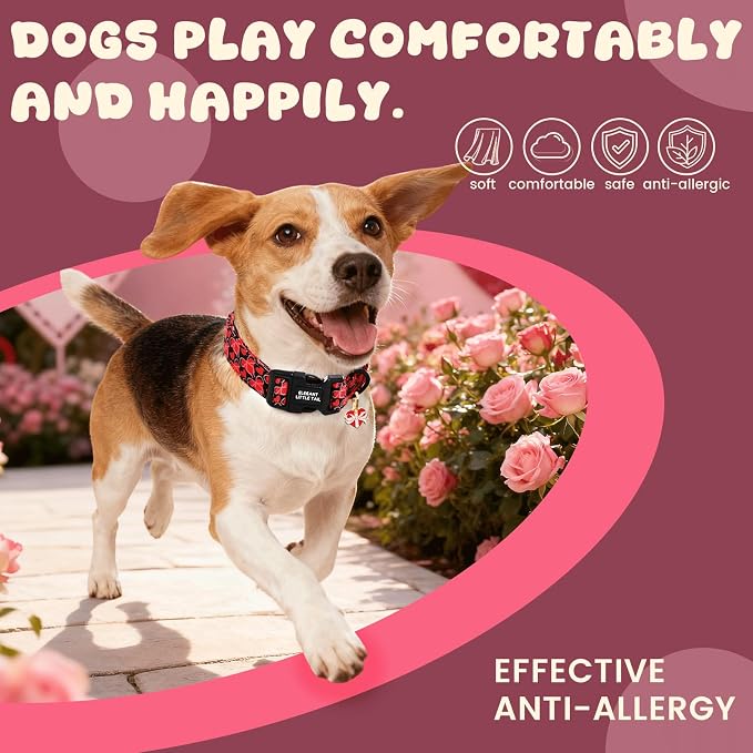 Elegant little tail Valentine's Dog Collar - Red Heart Dog Collars Cotton Puppy Adjustable Pet Collars with Sturdy Quick Release Buckle for X-Small Dogs