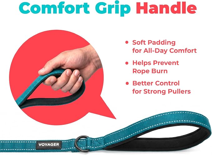 Best Pet Supplies Voyager Reflective Dog Leash or Collar with Neoprene Handle, for Small, Medium, and Large Breed Puppies, Cute and Heavy Duty for Walking, Running and Training - Turquoise (Leash), M