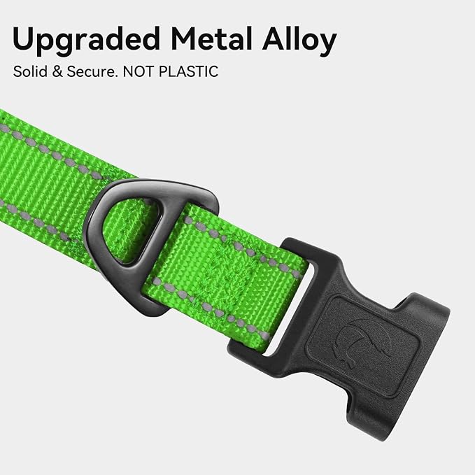 Joytale Reflective Dog Collar, Soft Neoprene Padded, Metal D-Ring, Nylon Pet Collar Adjustable for Small Dogs, Green, S