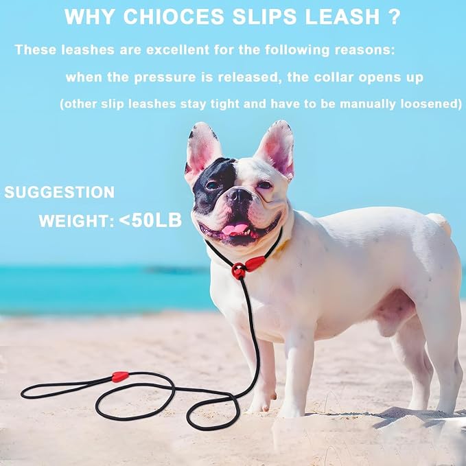 2 Pack Slip Leads for Dogs 6FT Slip Leash for Dogs Dog Lead Strong Nylon Dog Training Leash No Pull Rope Dog Leash Dog Leashes for Small Medium Dogs(Black+Black)