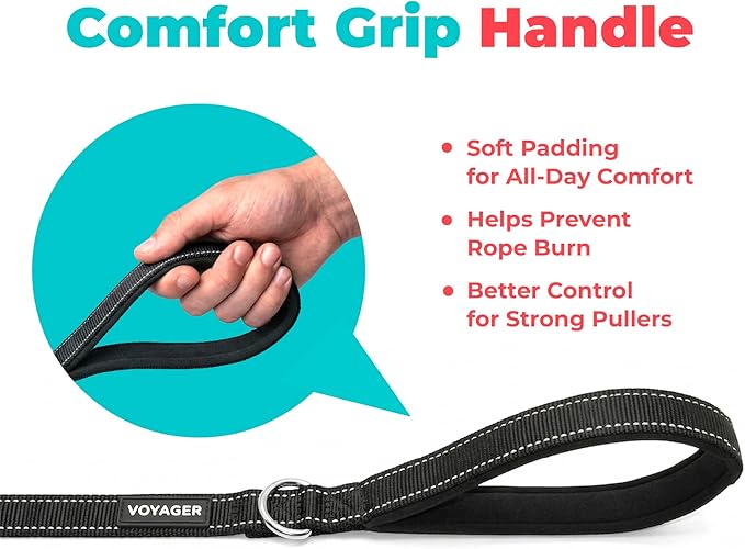 Best Pet Supplies Voyager Reflective Dog Leash or Collar with Neoprene Handle, for Small, Medium, and Large Breed Puppies, Cute and Heavy Duty for Walking, Running and Training - Black (Leash), S
