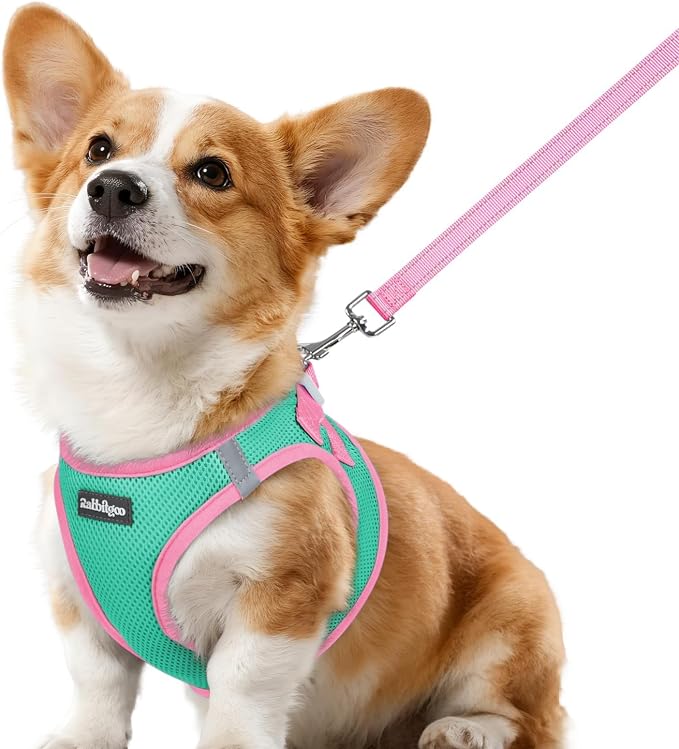 rabbitgoo Dog Harness Small Sized and Leash Set, Step-in Breathable Pet Harness, Soft Walking Reflective Puppy Vest for Small Dogs, Teal & Pink, L