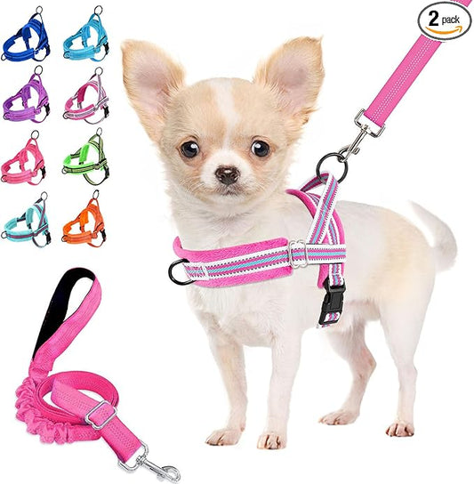 Lukovee No Pull Dog Harness and Leash Set, Soft Padded Small Dog Harness, Neck & Chest Adjustable Reflective Vest Puppy Harness with 4ft Lightweight Anti-Twist Dog Leash for Small Dogs (XS, Fuschia)