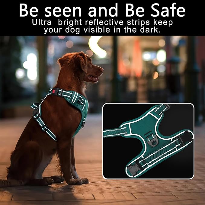 Timos Dog Harness Medium Sized, No Pull Pet Harness with Neck Lockable Snap, No Choke Front Clip Reflective Vest, Adjustable Metal Rings 3 Buckles, Easy Control Handle for Medium Dogs Grass Green M