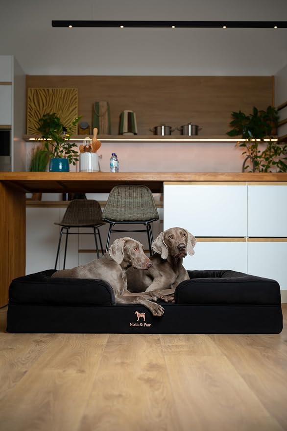 NOAH & PAW Giant Dog Bed XXL, 55x45x11 Inch, Orthopedic Dog Beds, Eggshell Memory Foam Infused with Cooling Gel, Inner Cover, Water Resistant, Machine Washable (Denim Sofa Collection)
