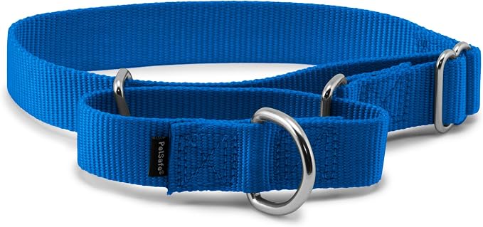 PetSafe Martingale Dog Collar Medium, 1 Inch, Royal Blue