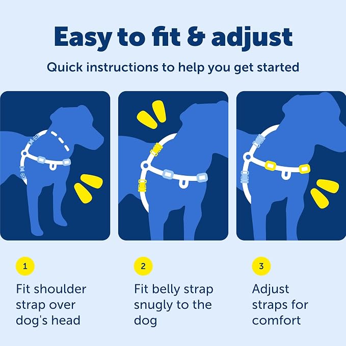 PetSafe Easy Walk No-Pull Dog Harness - Ultimate Harness to Help Stop Pulling - Pull-Free Walks - Take Control & Teach Better Leash Manners - Patented Martingale Loop Design - Deep Purple, Large