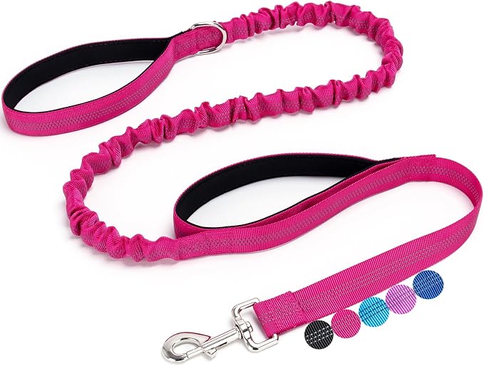 5FT Bungee Dog Leash with 2 Handles, Reflective Strong Nylon Traffic Leash, Shock Absorbing Lead for Large Medium Dogs Walking Training Controlling, Rose red