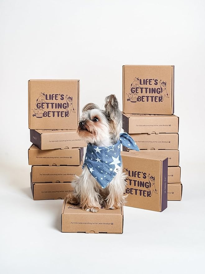 Ceramic Slow Feeder Dog Bowls Small Breed, 0.5 Cups Dog Food Dish for Fast Eaters, Puzzle Bowl for Small Dogs and Cats, 5.5 Inch-Green