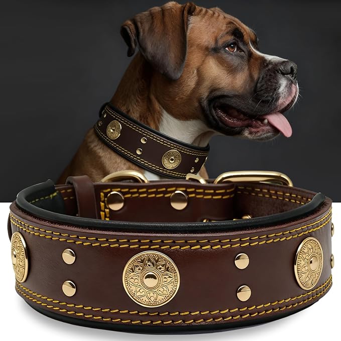 Genuine Leather Dog Collar for Large Dogs,2 in Wide Heavy Duty,BN-GD-L | Handmade,Stainless Steel Pin Buckle,Soft Padded,Alloy Studded,Luxury Eye-catching Design,Medium Large Giant Breeds,21-25 in