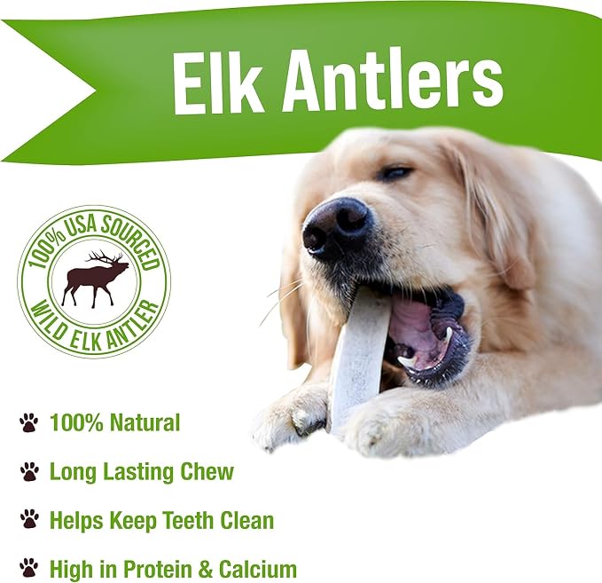 Buck Bone Organics Dog Chews, Elk Antlers for Dogs, Long Lasting Dog Bones for Aggressive Chewers, All Natural, No Preservatives, Wild Shed in the USA (Large 2 Pack)