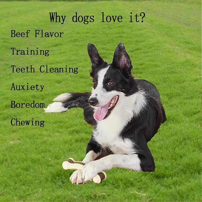 Dog Bones Chew Toys for Aggressive Chewers, 8 Pack Real Beef Flavor,Indestructible Dog Teething Chew Toys for Large/Medium/Small Puppies Breed,Tough Pet Toy with Durable Nylon