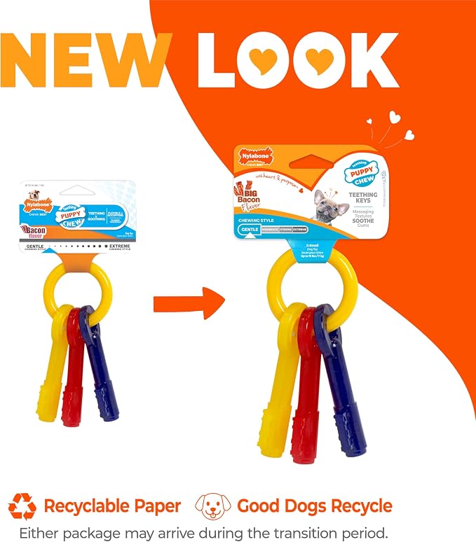 Nylabone Puppy Chew Key Ring Toy, Toys for Teething Puppies, Multi Color, Bacon Flavor, X-Small - Up to 15 lbs, 1 Count