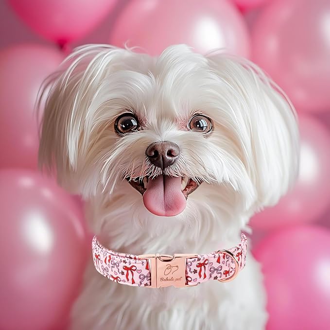 Pink Dog Collar for Female Small Dogs - Cute Bow Pattern Girl Dog Collar for Spring Summer, Adjustable Heavy Duty Pet Valentines Collars with Metal Buckle S