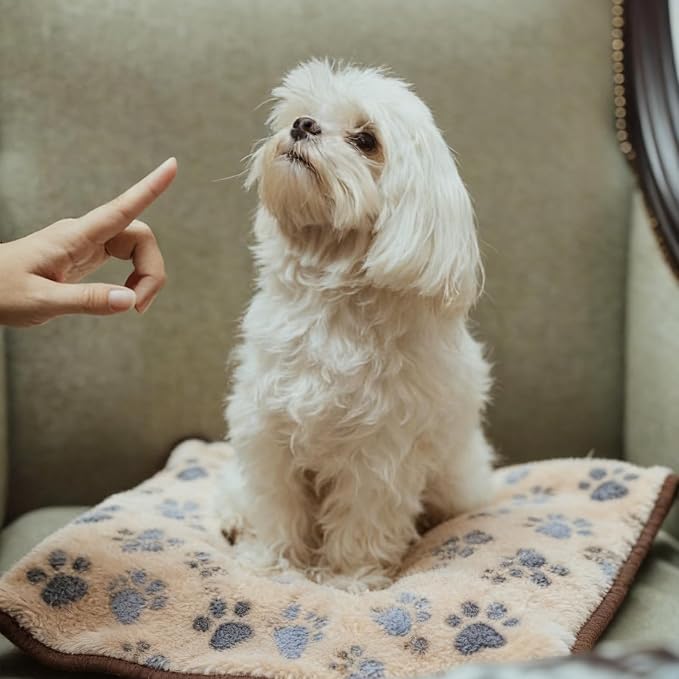 18 Pcs Dog Blankets for Small Dogs Washable Soft Fluffy Fleece Puppy Blankets Bulk for Pets Cute Paw Printed Throw for Indoor Cats Kitten Crate (23 X 16 Inch)
