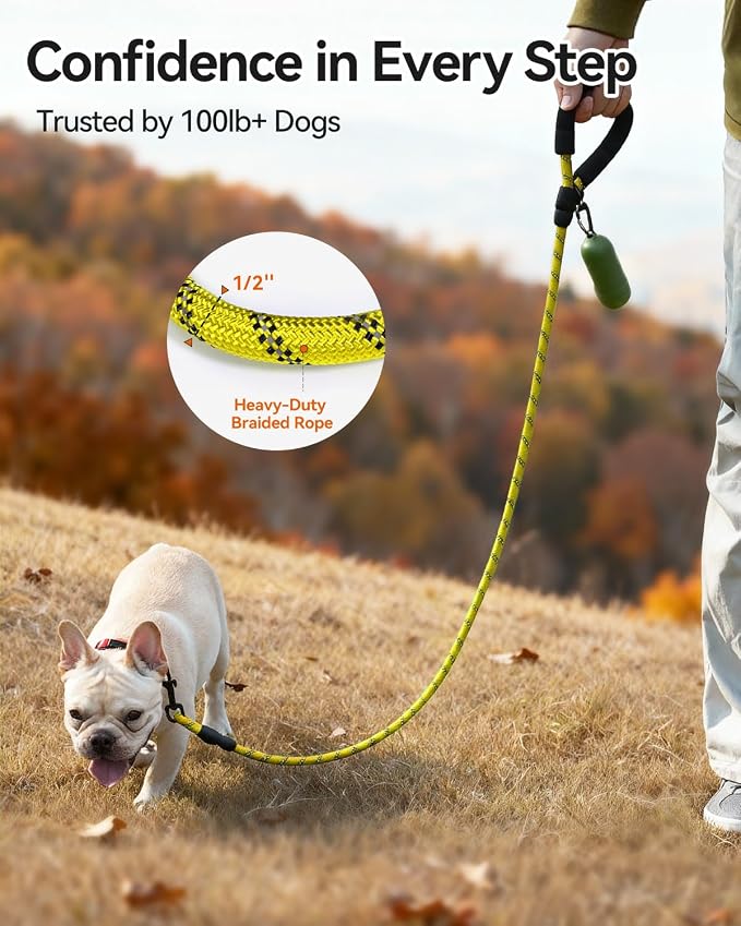 Joytale Dog Leash for Small Dogs, Heavy Duty Nylon Leashes with Comfortable Padded Handle and Highly Reflective Threads, Ideal for Walking and Training, Yellow, 6'×3/8''