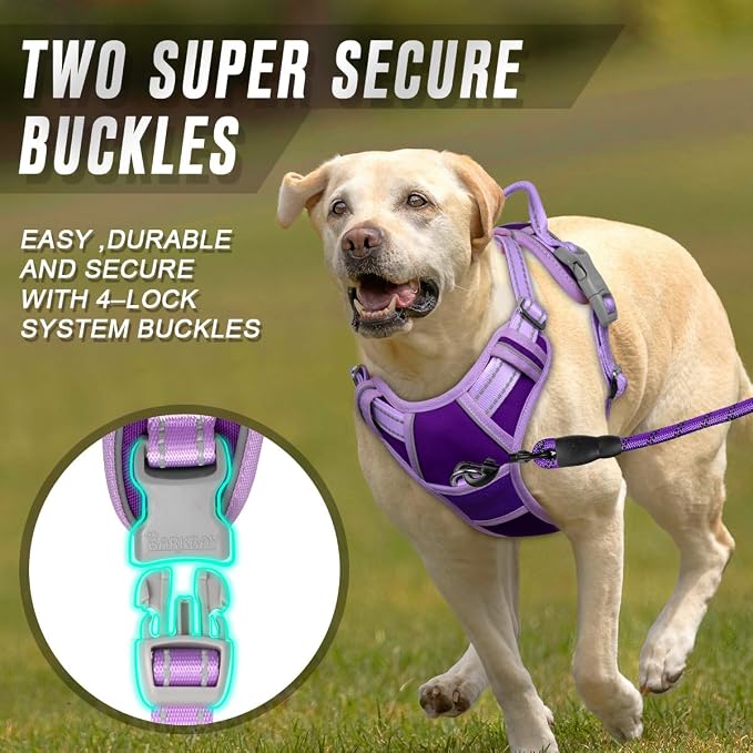 BARKBAY No Pull Dog Harness Front Clip Heavy Duty Reflective Easy Control Handle for Large Dog Walking(Violet Purple & Purple,L)