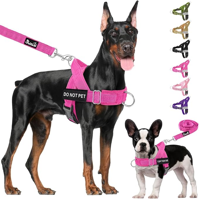 Lukovee No Pull Dog Harness and Leash Set - Adjustable Soft Padded Vest with Front Clip for Easy Control, Reflective Durable Harness for Safe Daily Training Walking for Medium Large Dogs (S, FU)