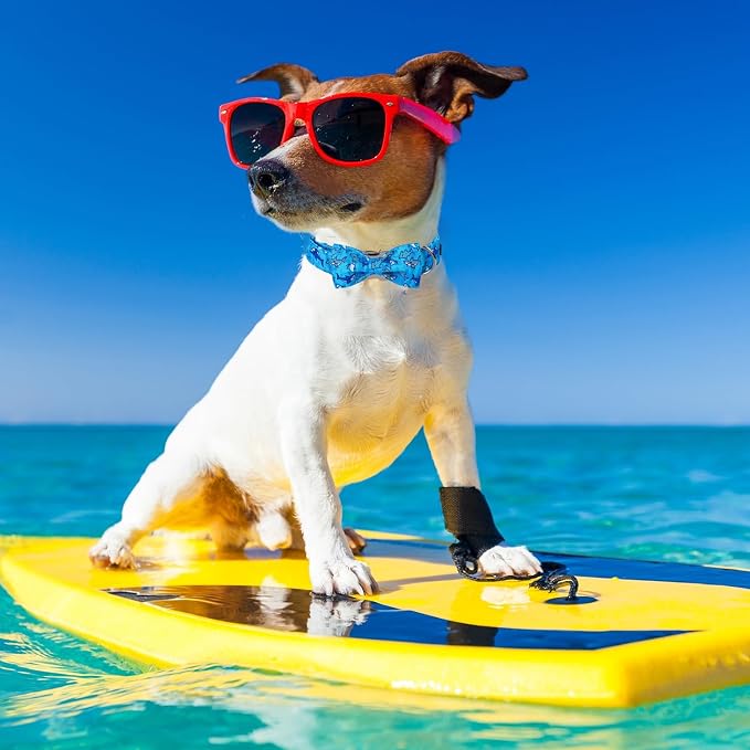 Maca Bates Summer Shark Dog Collar with Bow Tie Cute Blue Puppy Beach Bowtie Collars Sharks Adjustable Durable Soft for Dogs for Girl Boy Male Female Pets with Metal Buckle,Extra Large