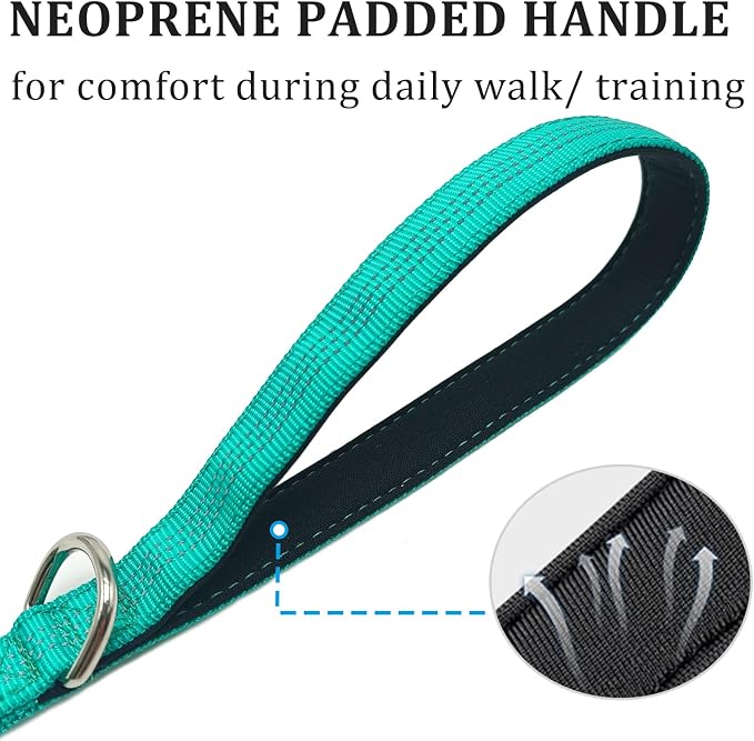 WYuZe 4 FT Bungee Dog Leash for Strong Small Dogs - Reflective, Shock Absorbing, Elastic Nylon Leash with Padded Handle for Safety Comfort No Pull Walking Training (Teal, 3/4"-Wide)