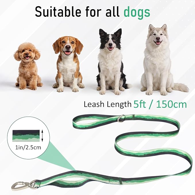 Double Handle Dog Leash 5FT – Heavy Duty Nylon Flat Leash with Traffic Handle & Safety Lock Clip,Colorful Durable Walking Lead for Small Medium Large Dogs Training & Daily (Sunset Orange)