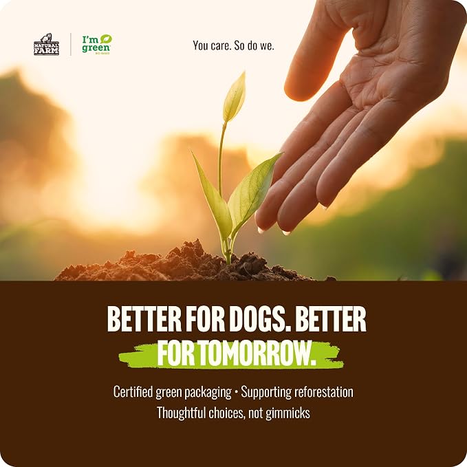 Natural Farm Odor-Free Bully Sticks (12 Inch, 12 Pack), 1.2 lbs. Per Bag, 100% Beef Pizzle Chews, Grass-Fed, Non-GMO, Fully Digestible Long Lasting Best Dental Treats to Keep Your Dogs Busy