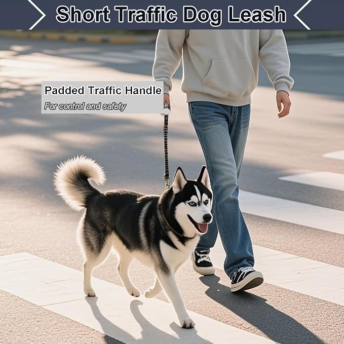 2 FT Bungee Dog Leash, Reflective Strong Nylon Traffic Leash, Short Shock Absorbing Lead for Large Medium Dogs Walking Training Controlling, Black