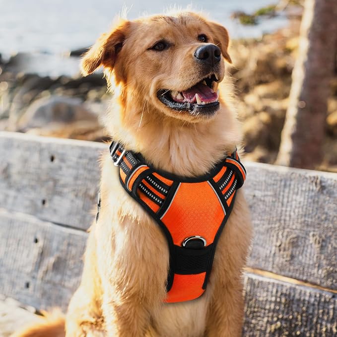 rabbitgoo Dog Harness for Large Dogs, 3 Buckles Easy On & Off No Pull Pet Vest, Soft Padded Walking Pet Harness with Control Handle, Adjustable and Reflective, Orange, XL