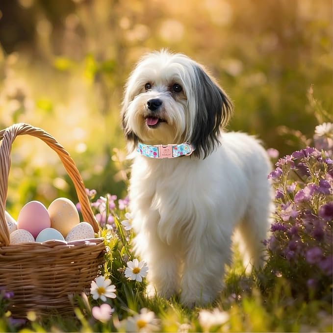 Easter Dog Collar, Cute Blue Bunny Easter Collar for Boy Girl Dogs, Adjustable Heavy Duty Spring Holiday Dog Collars for Small Medium Large Dogs with Metal Buckle L