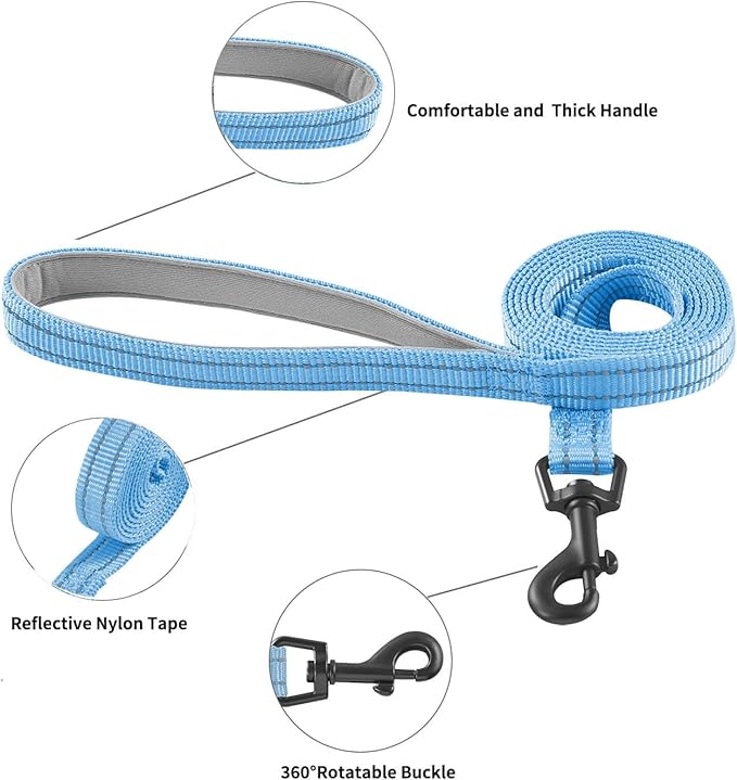 Hipubby Dog Harness and Leash Set, No Pull Soft Mesh Puppy Harness for Small Medium Dogs, Cats - Step in Reflective Breathable Lightweight Vest Harness for Walking, Training - Blue, XS
