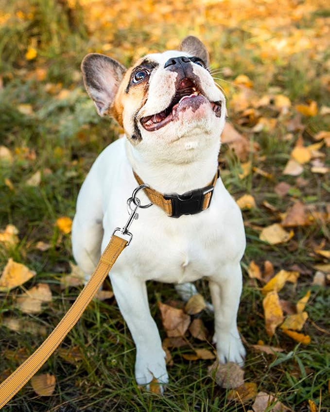 FunTags Length 10" - 16" Reflective Khaki Dog Collar for Small Dogs – Night Walking & Training Safety, Durable Quick Release Buckle, Nylon, Comfortable Adjustable, Width 3/4"