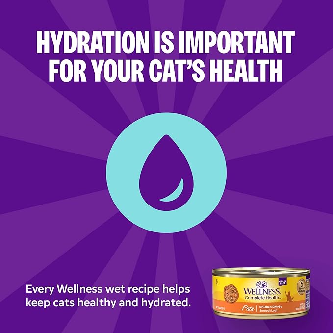 Wellness Complete Health Pate Adult Canned Wet Cat Food, Natural, Protein Rich, Grain Free, Turkey Dinner Recipe, 5.5 oz, Pack of 24 Cans