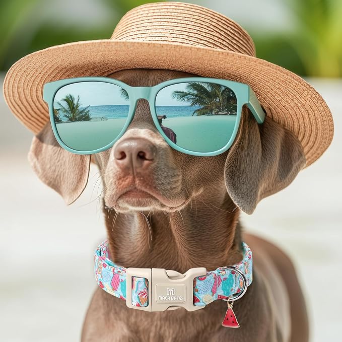 Maca Bates Summer Dog Collar with Watermelon Charm for Small Girl Boy Dogs Blue Ice Cream Print Durable,Soft,Thick,Adjustable Puppy Basic Collars for Male Female with Safety Buckle