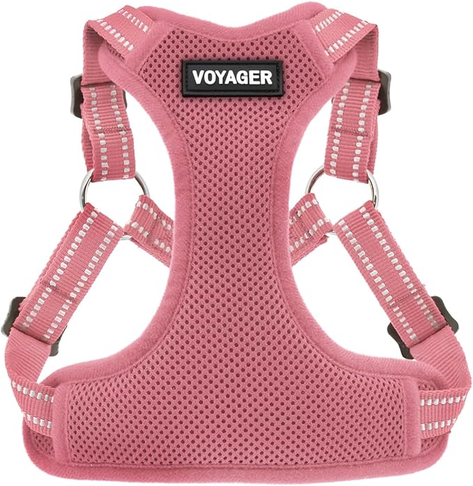 Best Pet Supplies Voyager Adjustable Step-in Flex Breathable Mesh Dog Harness for Small Medium Large Dogs (Pink), L