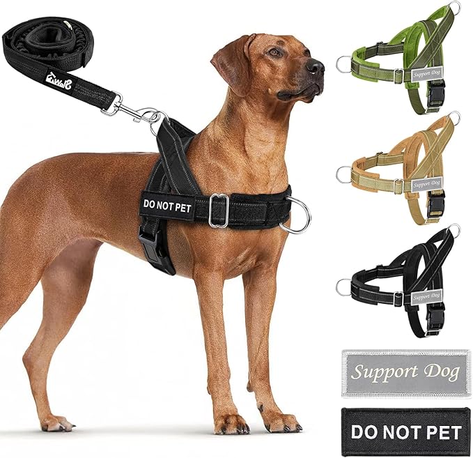 Lukovee No Pull Dog Harness and Leash Set - Adjustable Soft Padded Vest with Front Clip for Easy Control, Reflective Durable Harness for Safe Daily Training Walking for Medium Large Dogs (S, Black)