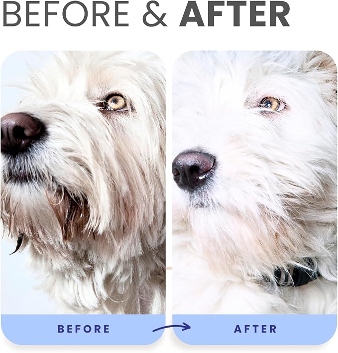 Lillian Ruff PRO Formula Berry Blue Brightening Pet Shampoo - Ultra-Hydrating Professional Whitening Dog Shampoo, Vivid Show-Quality Coat Enhancer, Tear Stain & Odor Eliminator - Vitamin B5 (Gallon)