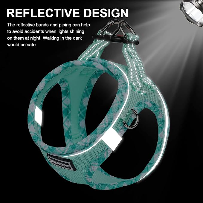Mercano Soft Mesh Dog Harness and Leash Set, Step-in Reflective Breathable Lightweight Vest Harnesses with Safety Buckle for Small Dogs, Cats (Light Green, S)