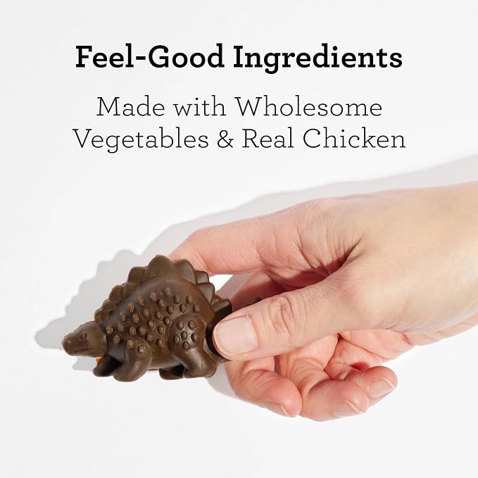 DreamBone Chicken DinoChews Dog Treats, Daily Rawhide-Free Chew, Digests Safely and Completely, With Real Protein, Chicken and Veggies, 14 count
