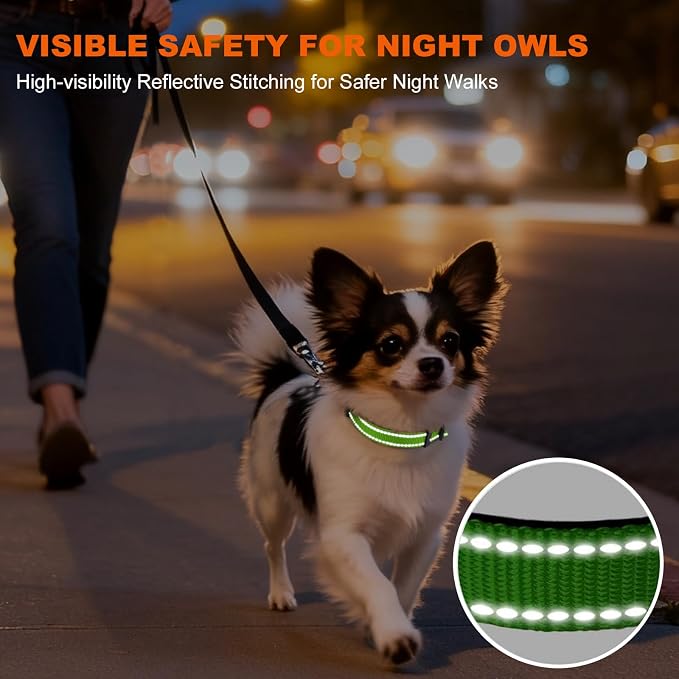 Taglory Reflective Dog Collar for Puppies with Escape-Proof Locking Buckle, Soft Neoprene Padded and Upgraded Zinc Alloy Ring, Adjustable for Chihuahua Yorkie, Green,XS