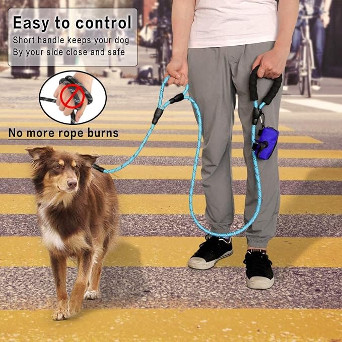 Plutus Pet Rope Dog Leash 6ft Long,Traffic Padded Two Handle,Heavy Duty,Reflective Double Handles Lead for Control Safety Training,Leashes for Large Dogs or Medium Dogs,Dual Handles Leads(Light Blue)