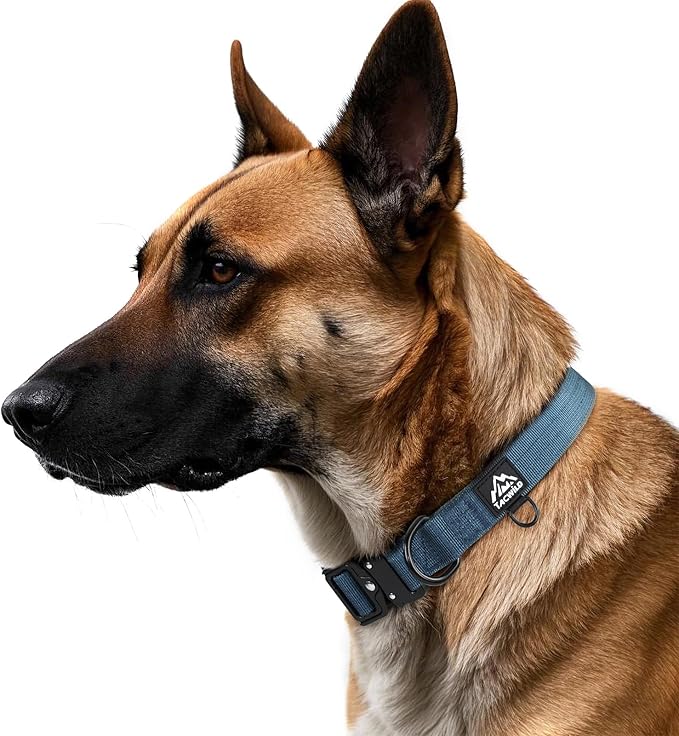 Dog Collars for Small Dogs Christmas Boy Girl- Adjustable, Chew Proof Nylon Collar with Metal Quick Release Buckle and D-Ring for Dog Tags (Haze Blue, S)