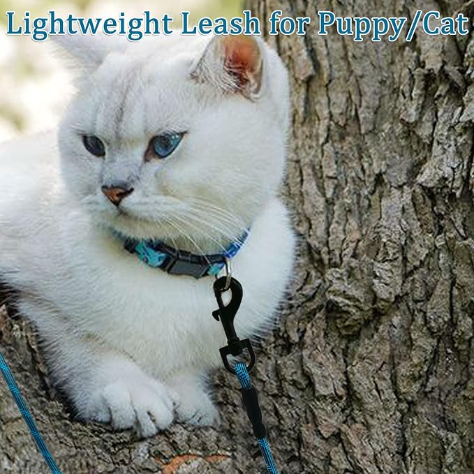 WYuZe Reflective X-Small Dog Leash 6/10/15 FT, Thin 1/5" Lightweight Rope Leash for Puppy Training, Walking Leads for Cats Chihuahua Maltese Small Pets Up to 15lb, (15ft, Blue)